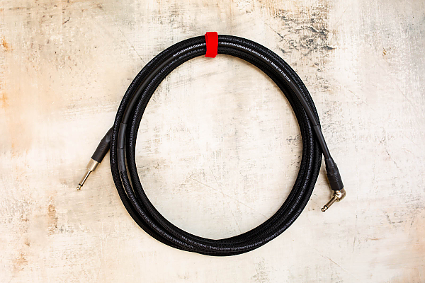 20' Snake Head in Black with Neutrik Right Angle Nickel (connected to instrument) to Neutrik Straight Nickel 