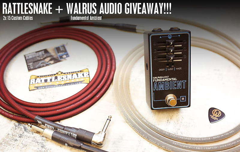Walrus Audio Fundamental Ambient Reverb | Rattlesnake Cable Company