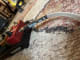 Testimonial Image
